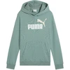 Puma Džemperis Paaugliams Ess 2 Color No. 1 Žalias 685823 30