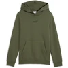 Puma Džemperis Paaugliams Ess 2 Color No.1 Logo Hoodie Fl Žalias 692976 86