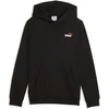 Puma Džemperis Paaugliams Ess 2 Color Small Logo Hoodie Fl Juodas 685825 71