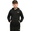 Puma Džemperis Paaugliams Ess 2 Color Small Logo Hoodie Fl Juodas 685825 71