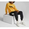 Puma Džemperis Paaugliams Ess+ 2Col Big Logo Geltona 586987 39