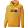 Puma Džemperis Paaugliams Ess+ 2Col Big Logo Geltona 586987 39