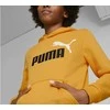 Puma Džemperis Paaugliams Ess+ 2Col Big Logo Geltona 586987 39