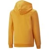 Puma Džemperis Paaugliams Ess+ 2Col Big Logo Geltona 586987 39
