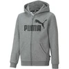 Puma Džemperis Paaugliams Ess Big Logo Fz Pilkas 586967 03