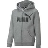 Puma Džemperis Paaugliams Ess Big Logo Fz Pilkas 586967 03