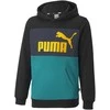 Puma Džemperis Paaugliams Ess Block Hoodie Juodas Žalias Mėlyna 849081 27
