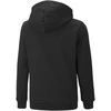 Puma Džemperis Paaugliams Ess Block Hoodie Juodas Žalias Mėlyna 849081 27