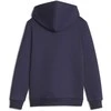 Puma Džemperis Paaugliams Ess+ Logo Lab Hoodie Fl Navy 676325 06