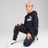 Puma Džemperis Paaugliams Ess No, 1 Logo Hoodie Fl Dark Mėlyna 684908 16