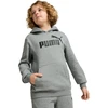 Puma Džemperis Paaugliams Ess No, 1 Logo Hoodie Fl Pilkas 684908 03