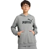 Puma Džemperis Paaugliams Ess No.1 Logo Hoodie Pilkas 684909 03