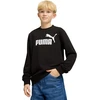 Puma Džemperis Paaugliams Ess No.1 Logo Crew Hoodie Juodas 684910 01