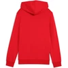 Puma Džemperis Paaugliams Ess No.1 Logo Hoodie Raudona 684909 11