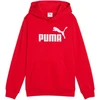 Puma Džemperis Paaugliams Ess No.1 Logo Hoodie Raudona 684909 11