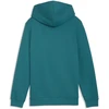 Puma Džemperis Paaugliams Ess No.1 Logo Hoodie Žalias 684909 41