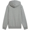 Puma Džemperis Paaugliams Ess No.1 Logo Hoodie Pilkas 684909 03