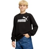 Puma Džemperis Paaugliams Ess No.1 Logo Crew Hoodie Juodas 684910 01