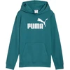 Puma Džemperis Paaugliams Ess No.1 Logo Hoodie Žalias 684909 41