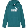Puma Džemperis Paaugliams Ess No.1 Logo Hoodie Žalias 684909 41