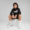Puma Džemperis Paaugliams Ess No.1 Logo Hoodie Juodas 684909 01