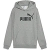 Puma Džemperis Paaugliams Ess No.1 Logo Hoodie Pilkas 684909 03