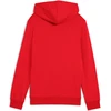 Puma Džemperis Paaugliams Ess No.1 Logo Hoodie Raudona 684909 11