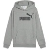 Puma Džemperis Paaugliams Ess No.1 Logo Hoodie Pilkas 684909 03
