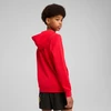 Puma Džemperis Paaugliams Ess No.1 Logo Hoodie Raudona 684909 11