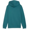 Puma Džemperis Paaugliams Ess No.1 Logo Hoodie Žalias 684909 41