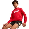Puma Džemperis Paaugliams Ess No.1 Logo Hoodie Raudona 684909 11