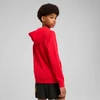 Puma Džemperis Paaugliams Ess No.1 Logo Hoodie Raudona 684909 11