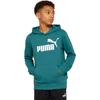 Puma Džemperis Paaugliams Ess No.1 Logo Hoodie Žalias 684909 41