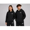Puma Džemperis Paaugliams Ess Small No.1 Logo Relaxe Fl Juodas 684921 01