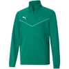 Puma Džemperis Paaugliams TeamRise 1/4 Zip Žalias 657395 05