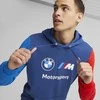 Puma Džemperis Vyrams Bmw Mms Ess Ft Hoodie Pro Mėlyna 538143 04