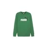 Puma Džemperis Vyrams Ess+ 2 Col Big Logo Žalias 586763 86