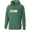 Puma Džemperis Vyrams Ess+ 2 Col Big Logo Žalias 586765 37