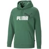 Puma Džemperis Vyrams Ess+ 2 Col Big Logo Žalias 586765 37