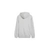 Puma Džemperis Vyrams Ess+ 2 Col Small Pilkas 680990 04