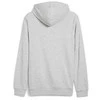 Puma Džemperis Vyrams Ess+ 2 Col Small Pilkas 680990 04