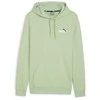 Puma Džemperis Vyrams Ess+ 2 Col Small Žalias 680990 95