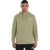 Puma Džemperis Vyrams Ess 2 Color Small Fl Olive 684718 82