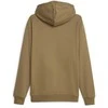 Puma Džemperis Vyrams Ess Big Logo Hoodie Fl Brown 586687 93