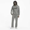 Puma Džemperis Vyrams Ess Big Logo Hoodie Pilkas 586688 03