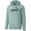 Puma Džemperis Vyrams Ess Big Logo Hoodie Žalias 586687 75