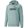 Puma Džemperis Vyrams Ess Big Logo Hoodie Žalias 586687 75