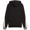 Puma Džemperis Vyrams Ess Block Hoodie Juodas Pilkas 692597 01