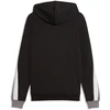 Puma Džemperis Vyrams Ess Block Hoodie Juodas Pilkas 692597 01