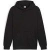 Puma Džemperis Vyrams Ess Elevated Hoodie Fl Juodas 681889 01